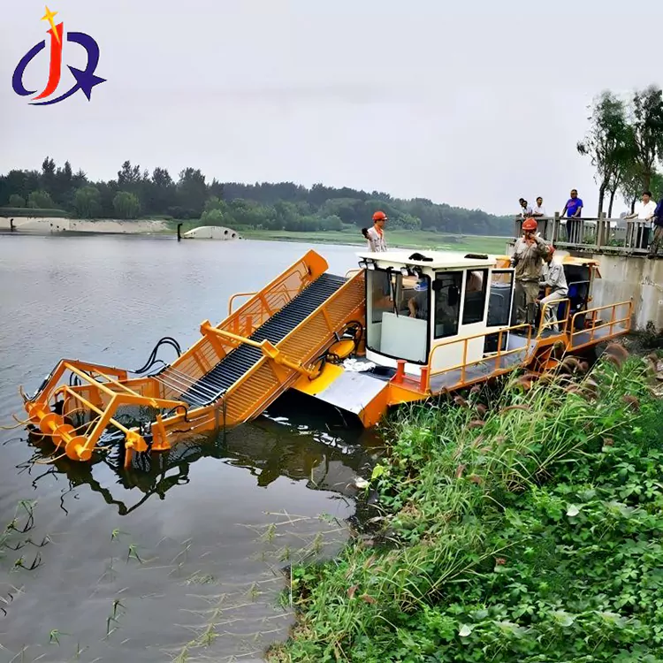 Hyacint a okřehek člun